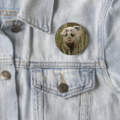 Badge Rond 5 Cm Bouton Cute Pig (En situation)