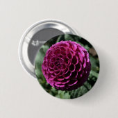 Badge Rond 5 Cm Bouton Dahlia violet (Devant & derrière)