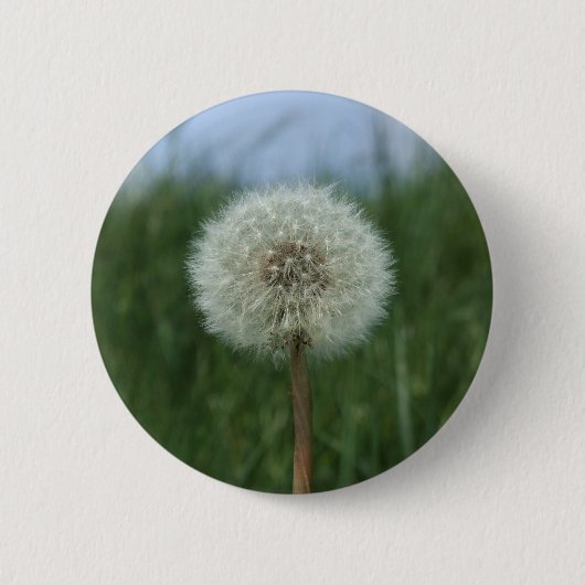 Badge Rond 5 Cm Bouton Dandelion (Devant)