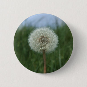 Badge Rond 5 Cm Bouton Dandelion