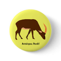 Bouton d'antilope