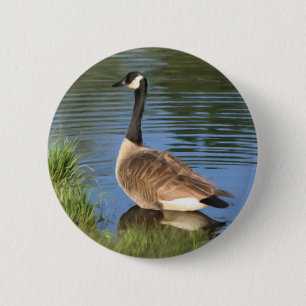 Badge Rond 5 Cm Bouton d'art animal d'oie du Canada