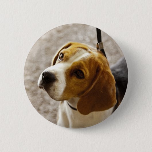 Badge Rond 5 Cm Bouton de beagle (Devant)