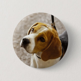 Badge Rond 5 Cm Bouton de beagle