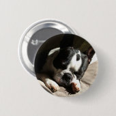 Badge Rond 5 Cm Bouton de Boston (Devant & derrière)