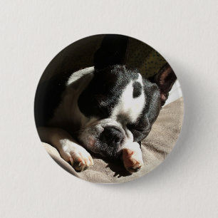 Badge Rond 5 Cm Bouton de Boston