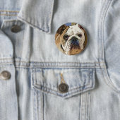 Badge Rond 5 Cm Bouton de bouledogue (En situation)