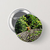 Badge Rond 5 Cm Bouton de cache-cache de tigre (Devant & derrière)