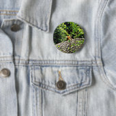 Badge Rond 5 Cm Bouton de cache-cache de tigre (En situation)