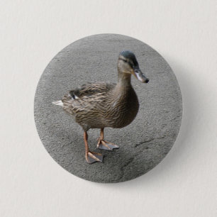 Badge Rond 5 Cm Bouton de canard en patte drôle