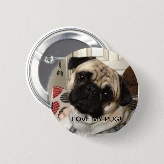 Badge Rond 5 Cm Bouton de carlin (Devant & derrière)