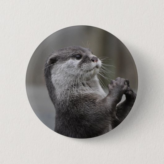 Badge Rond 5 Cm Bouton de cerveau de loutre (Devant)