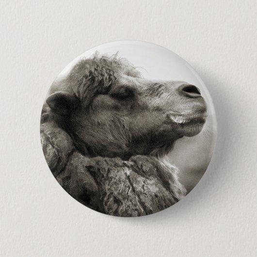 Badge Rond 5 Cm Bouton de chameau (Devant)
