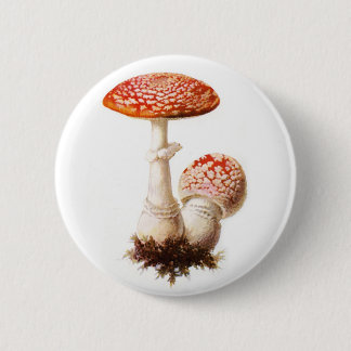 Badge Rond 5 Cm Bouton de champignon d'amanite