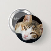 Badge Rond 5 Cm Bouton de chat de Cleo (Devant & derrière)