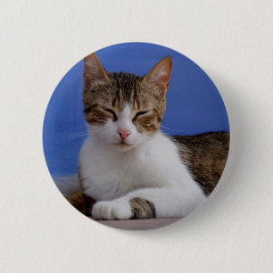 Badge Rond 5 Cm Bouton de chat grec