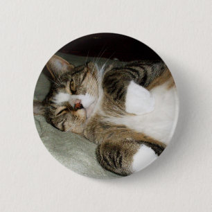 Badge Rond 5 Cm Bouton de chat Manx endormi