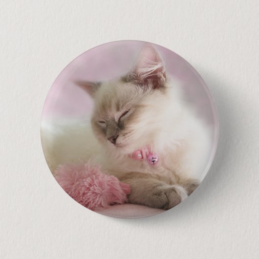 Badge Rond 5 Cm bouton de chaton de ragdoll (Devant)