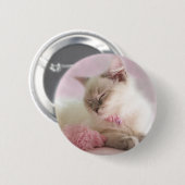 Badge Rond 5 Cm bouton de chaton de ragdoll (Devant & derrière)