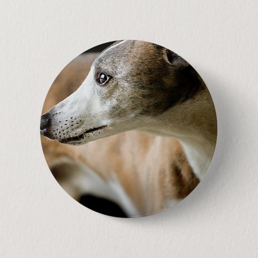 Badge Rond 5 Cm Bouton de chien de lévrier (Devant)