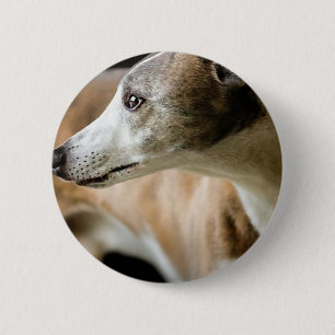 Badge Rond 5 Cm Bouton de chien de lévrier