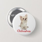 Badge Rond 5 Cm Bouton de Chihuahua, très long, (Devant & derrière)