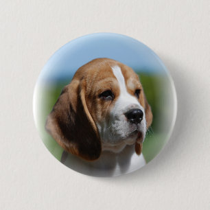Badge Rond 5 Cm Bouton de chiot de beagle