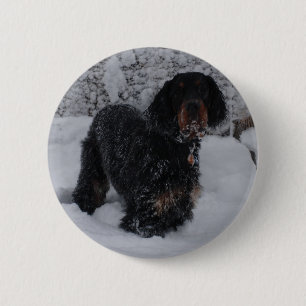 Badge Rond 5 Cm Bouton de chiot Gordon Setter