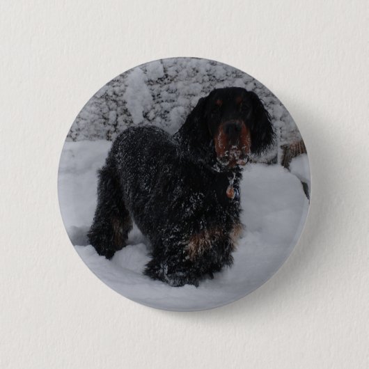 Badge Rond 5 Cm Bouton de chiot Gordon Setter (Devant)