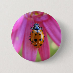Badge Rond 5 Cm Bouton de coccinelle
