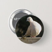Badge Rond 5 Cm Bouton de colombe (Devant & derrière)