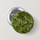 Badge Rond 5 Cm Bouton de ~ de mante de bébé (Devant & derrière)