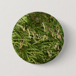 Badge Rond 5 Cm Bouton de ~ de mante de bébé
