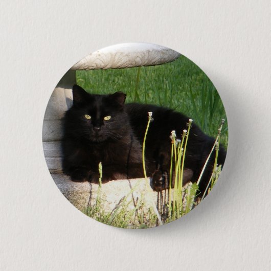 Badge Rond 5 Cm Bouton de ~ du chat 120 (Devant)