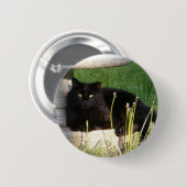 Badge Rond 5 Cm Bouton de ~ du chat 120 (Devant & derrière)