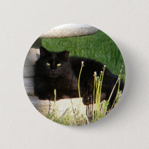 Badge Rond 5 Cm Bouton de ~ du chat 120