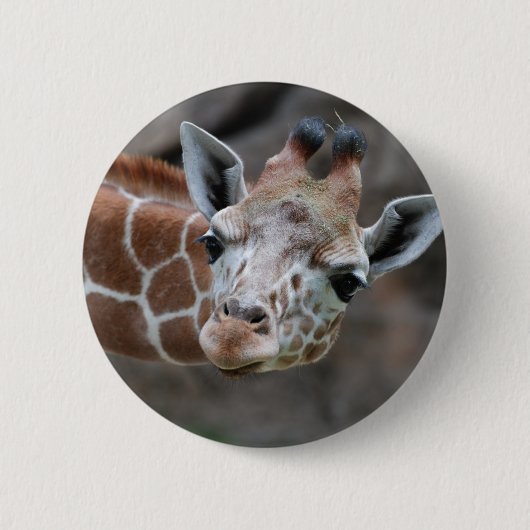 Badge Rond 5 Cm Bouton de girafe (Devant)