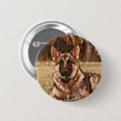 Badge Rond 5 Cm Bouton de Hackibus de chien de berger allemand (Devant & derrière)