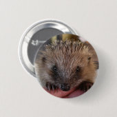 Badge Rond 5 Cm Bouton de hérisson de bébé (Devant & derrière)