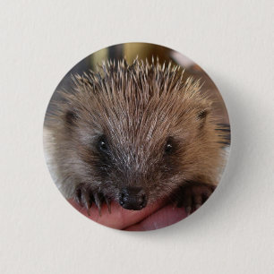 Badge Rond 5 Cm Bouton de hérisson de bébé
