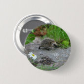 Badge Rond 5 Cm Bouton de hérisson - personnalisable (Devant & derrière)