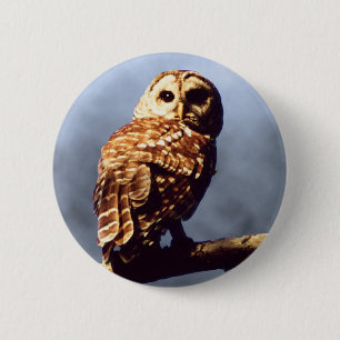 Badge Rond 5 Cm Bouton de hibou barré