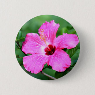 Badge Rond 5 Cm Bouton de ketmie