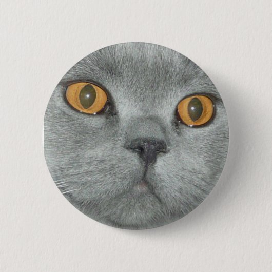 Badge Rond 5 Cm Bouton de Kitty observé par orange mignonne (Devant)