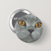 Badge Rond 5 Cm Bouton de Kitty observé par orange mignonne (Devant & derrière)