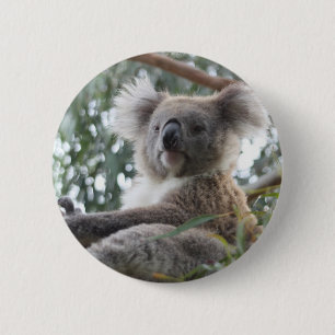 Badge Rond 5 Cm Bouton de koala