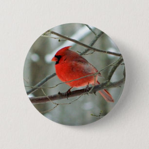Badge Rond 5 Cm Bouton de la faune du cardinal rouge (mâle)