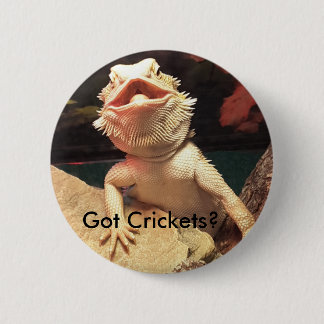 Badge Rond 5 Cm Bouton de lézard/cricket
