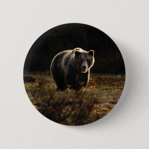 Badge Rond 5 Cm Bouton de l'ours