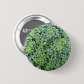 Badge Rond 5 Cm Bouton de macro Brocoli (Devant & derrière)